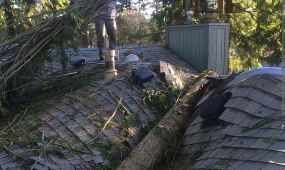 Storm Damage Response Kingston WA
